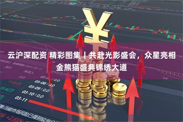 云沪深配资 精彩图集丨共赴光影盛会，众星亮相金熊猫盛典锦绣大道