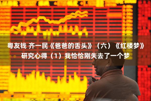 粤友钱 齐一民《爸爸的舌头》（六）《红楼梦》研究心得（1）我恰恰刚失去了一个梦