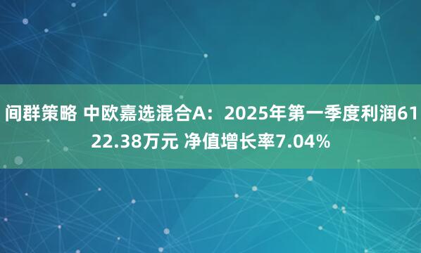 间群策略 中欧嘉选混合A：2025年第一季度利润6122.38万元 净值增长率7.04%