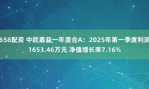 658配资 中欧嘉益一年混合A：2025年第一季度利润1653.46万元 净值增长率7.16%