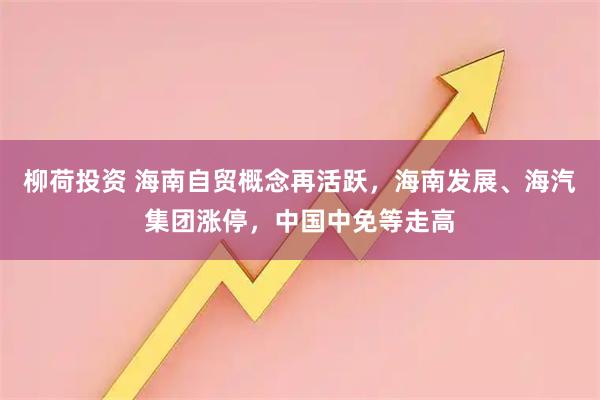 柳荷投资 海南自贸概念再活跃，海南发展、海汽集团涨停，中国中免等走高