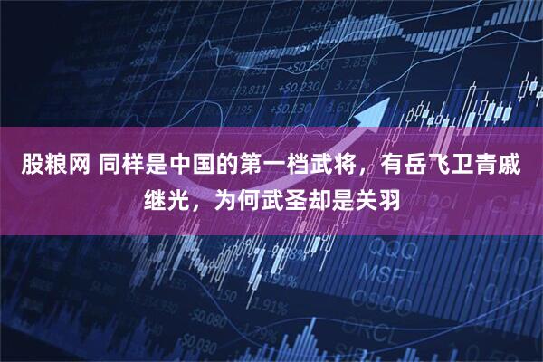 股粮网 同样是中国的第一档武将，有岳飞卫青戚继光，为何武圣却是关羽